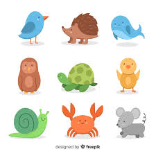 Small animals